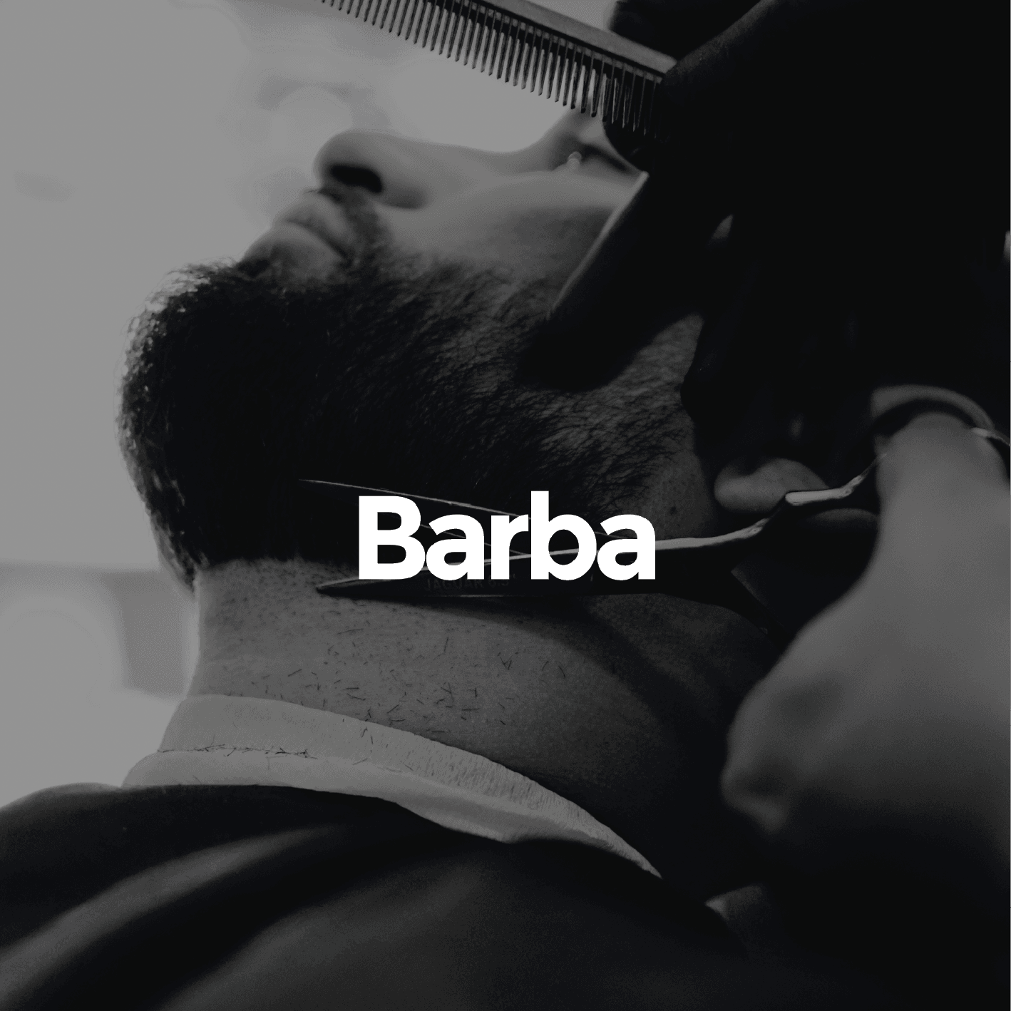 Barba